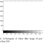 Figure 22.Histogram of Gabor filter image of poor quality taken from DB1