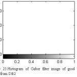 Figure 23.Histogram of Gabor filter image of good quality taken from DB2