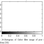 Figure 24.Histogram of Gabor filter image of poor quality taken from DB2