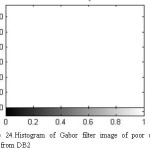 Figure 24.Histogram of Gabor filter image of poor quality taken from DB2