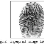 Figure 3.Original fingerprint image taken from DB1