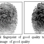 Figure 5.Original fingerprint of good quality taken from DB1 and Segmented image of good quality