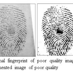 Figure 8.Original fingerprint of poor quality image taken from DB2 and Segmented image of poor quality