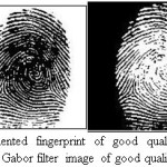 Figure 9.Segmented fingerprint of good quality image taken from DB1 and Gabor filter image of good quality