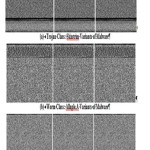 Fig.1 Texture Similarities of Malware Classes (a) Trojan Class (b) Worm Class with different variants of Malware.