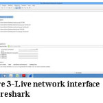 Figure 3-Live network interface by wireshark