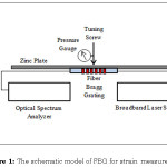 Figure 1: The schematic model of FBG for strain measurement