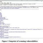 Figure 2 Snapshot of scanning vulnerabilities