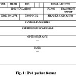 Fig. 1: IPv4 packet format