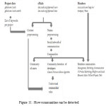 Figure 11 : How communities can be detected 