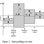 Figure 2 :  Risk profiling over time 