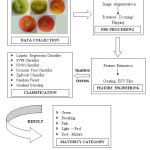Figure 3: Flow Chart of Methodology Implemented