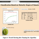 Figure 4: Result Showing after Running the Algorithm