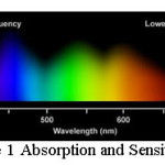 Figure 1 Absorption and Sensitivity curve