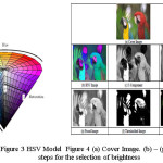 Figure 3 HSV Model	Figure 4 (a) Cover Image. (b) – (g) the steps for the selection of brightness