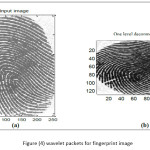 Figure (4) wavelet packets for fingerprint image