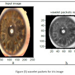 Vol11_No1_IMG_Nor_Fig5