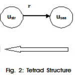 Figure 2: Tetrad Structure