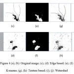 Figure 4 (a), (b): Original image; (c), (d): Edge based; (e), (f):  K-means; (g), (h): Texture based; (i), (j): Watershed