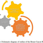 Figure1: Schematic diagram of outline of the Breast Cancer Research
