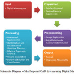 Figure11: Schematic Diagram of the Proposed CAD System using Digital Mammogram