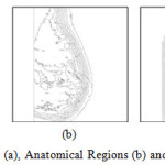 Figure 9: showing Mammogram (a), Anatomical Regions (b) and Isolated Abnormal Masses (c) 